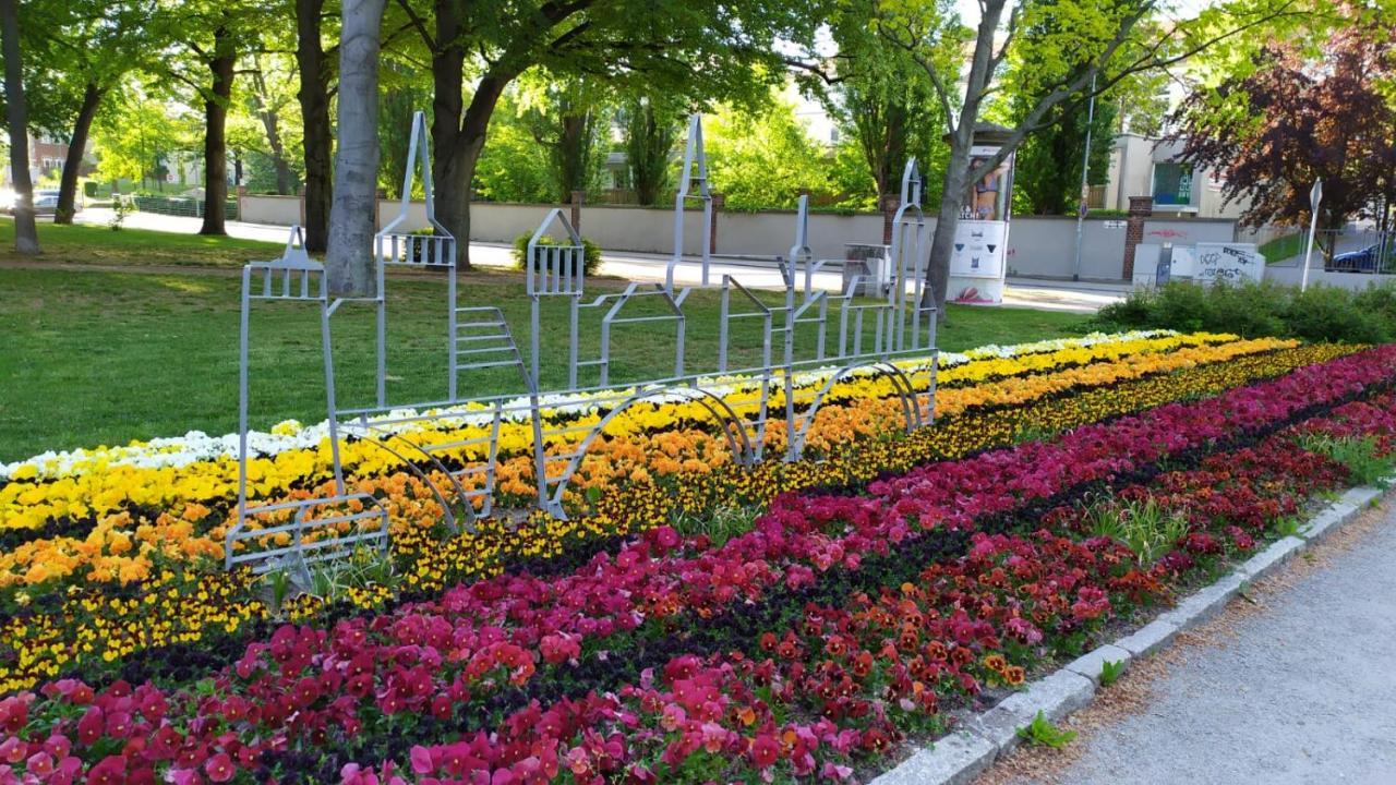 Alte Baeckerei Bautzen - 01 #Family# Im Zentrum, Mit Parkplatz, Top Ausgestattet מראה חיצוני תמונה